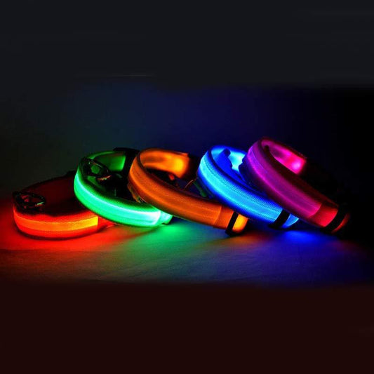 Safety Collar for your Dog / Cat Glow in the dark